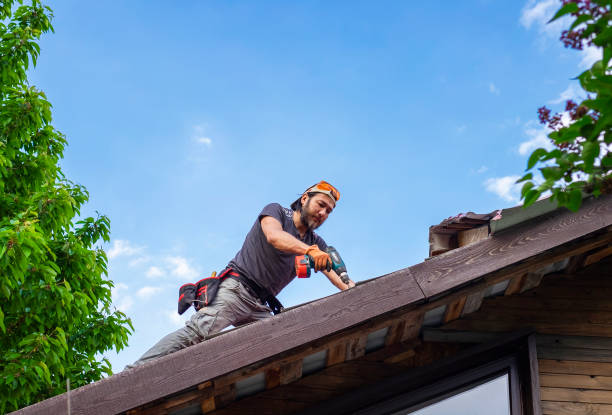 Best Asphalt Shingle Roofing  in American Falls, ID